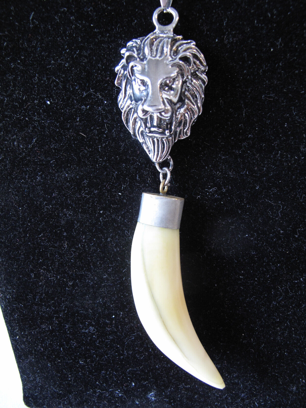 African Lion tooth Amulet