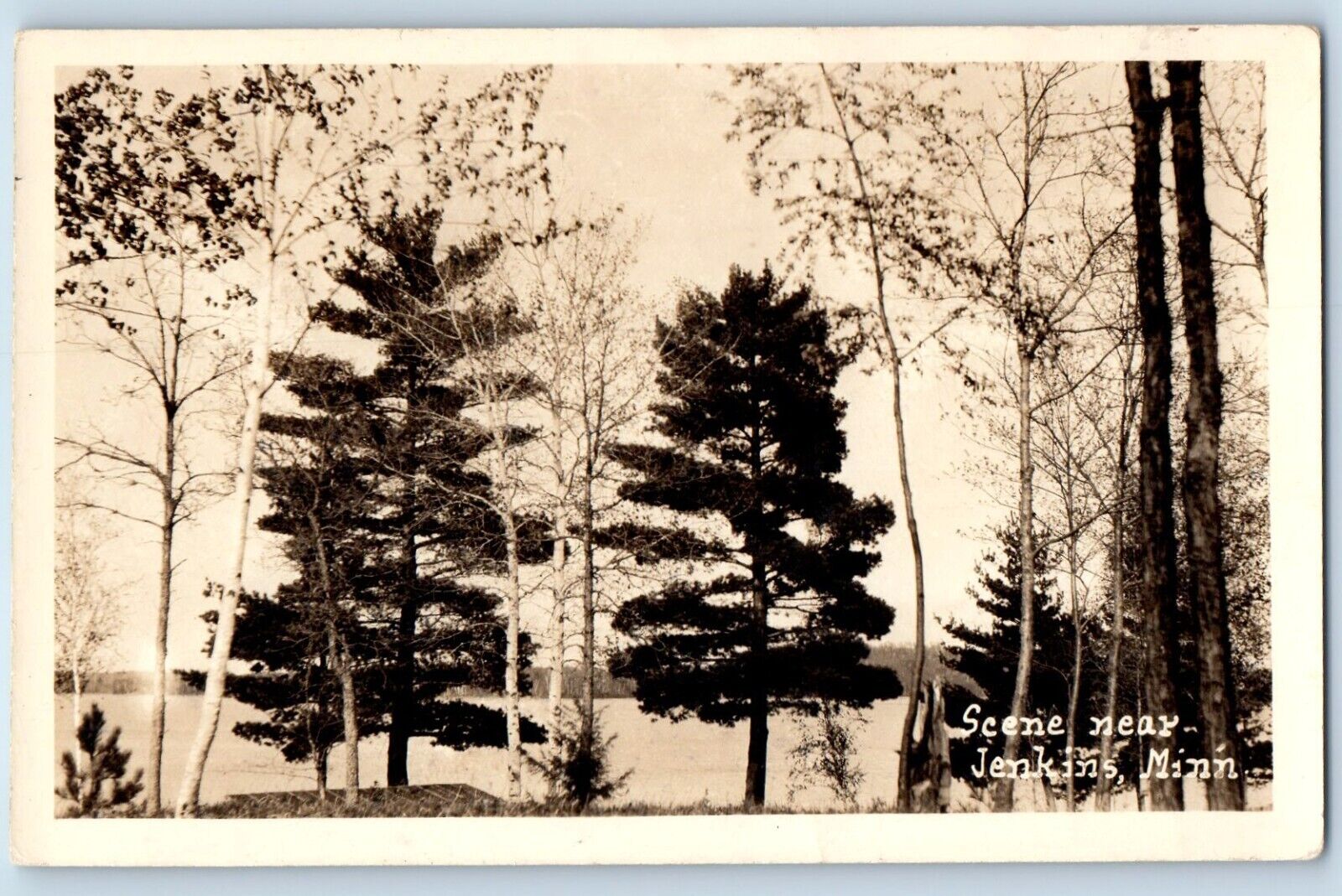 Minnesota MN Postcard RPPC Photo Scene Near Jenkins Lake View c1910's Antique