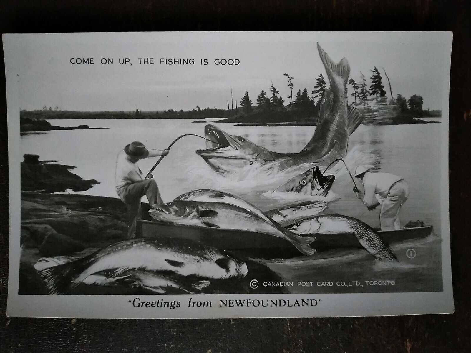 Come on Up, the Fishing is Good, Greetings from Newfoundland, CAN - Mid 1900s