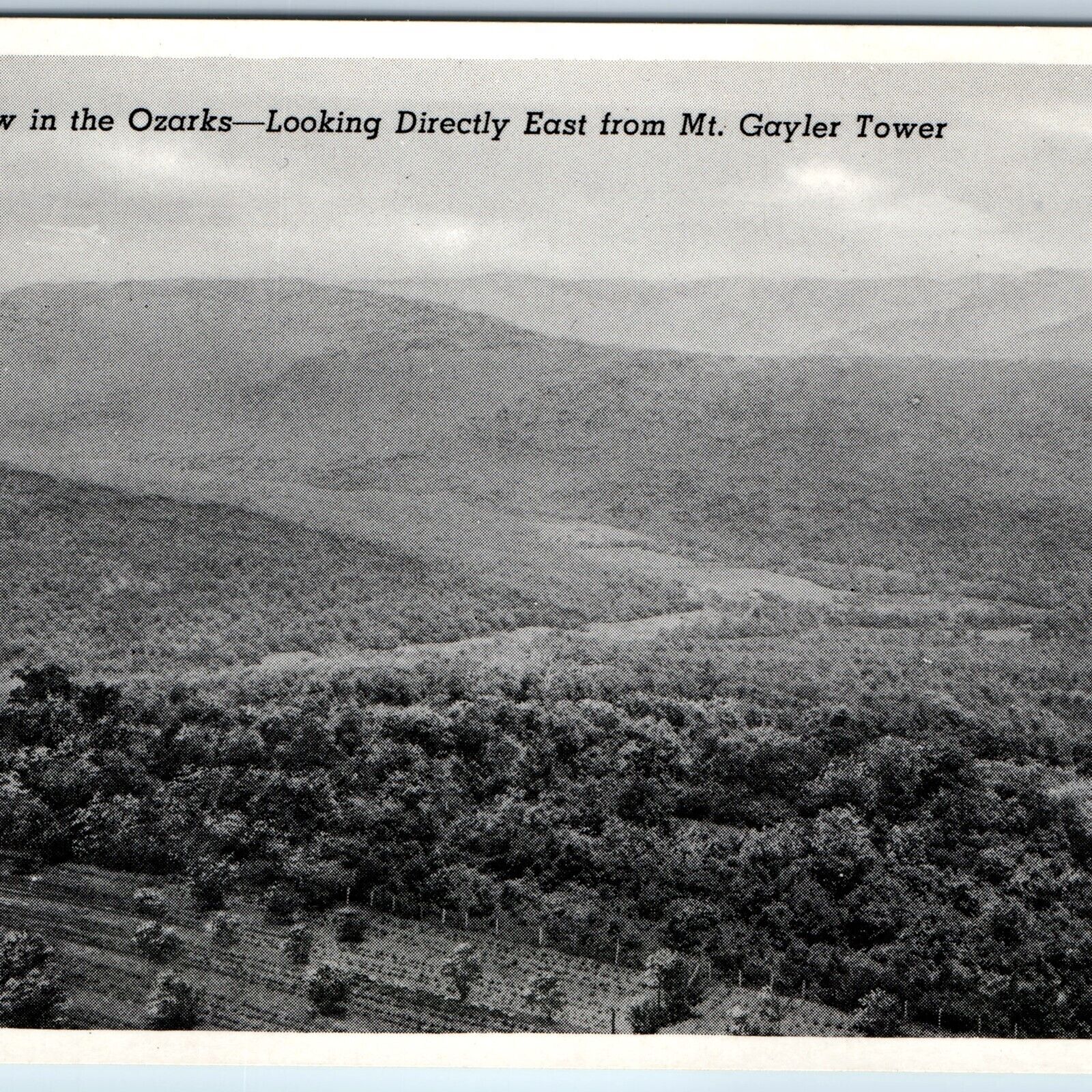 c1950s Mount Gayler, AK Mt Gayler Tower Scenic View Ozarks Litho Photo PC A149