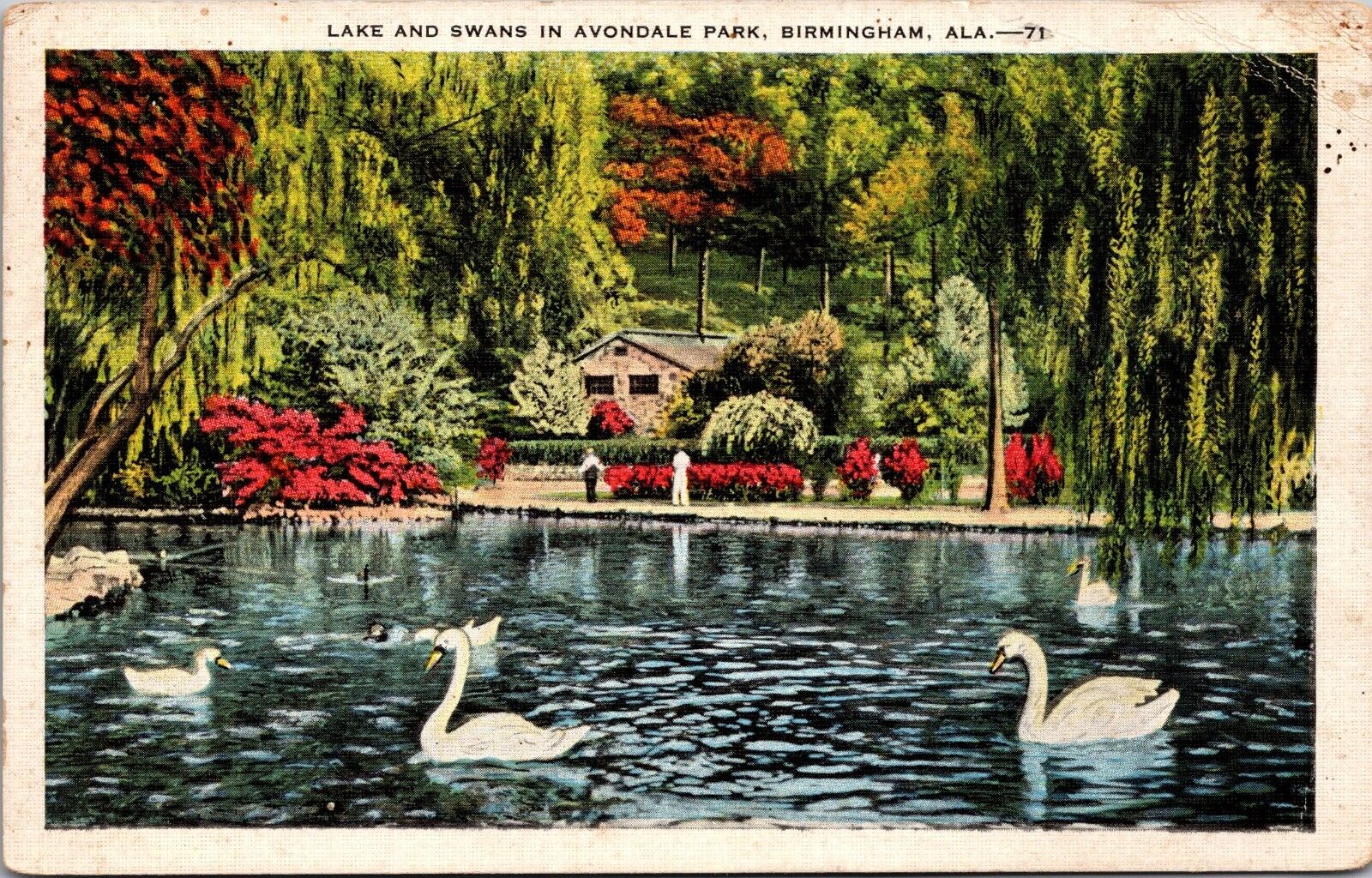 Postcard Birmingham AL Avondale park Swans on the Lake vintage postcard