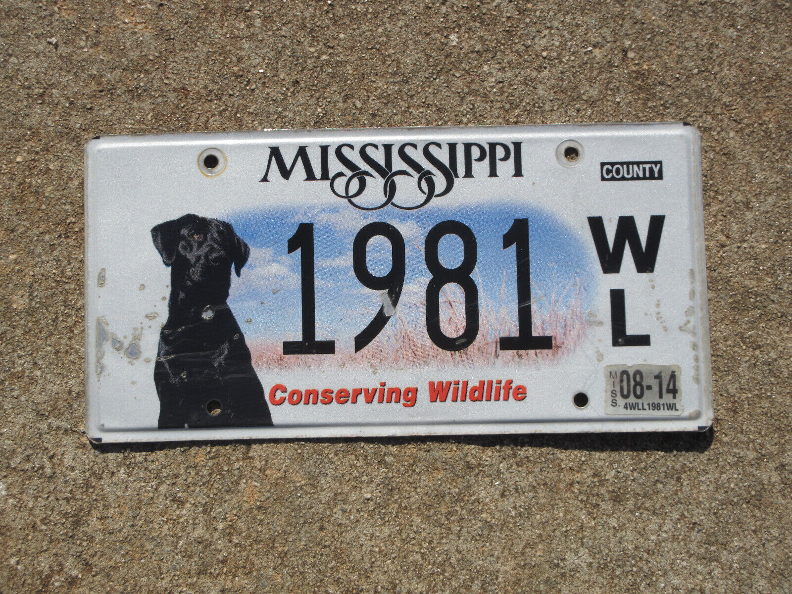 2014 Mississippi Conserving Wildlife License Plate Black Labrador Dog 1981 WL MS