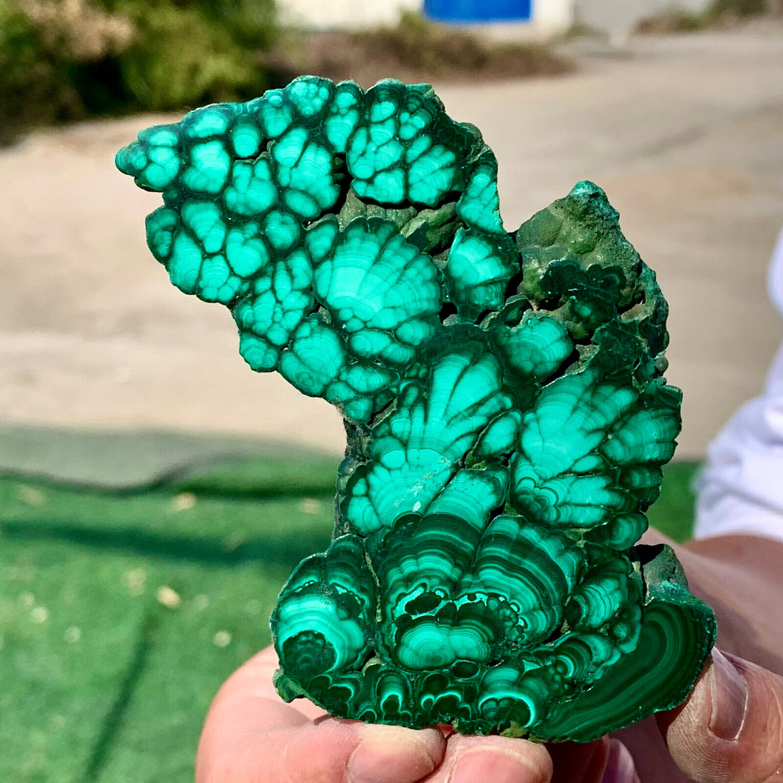 149G Natural glossy Malachite transparent cluster rough mineral sample