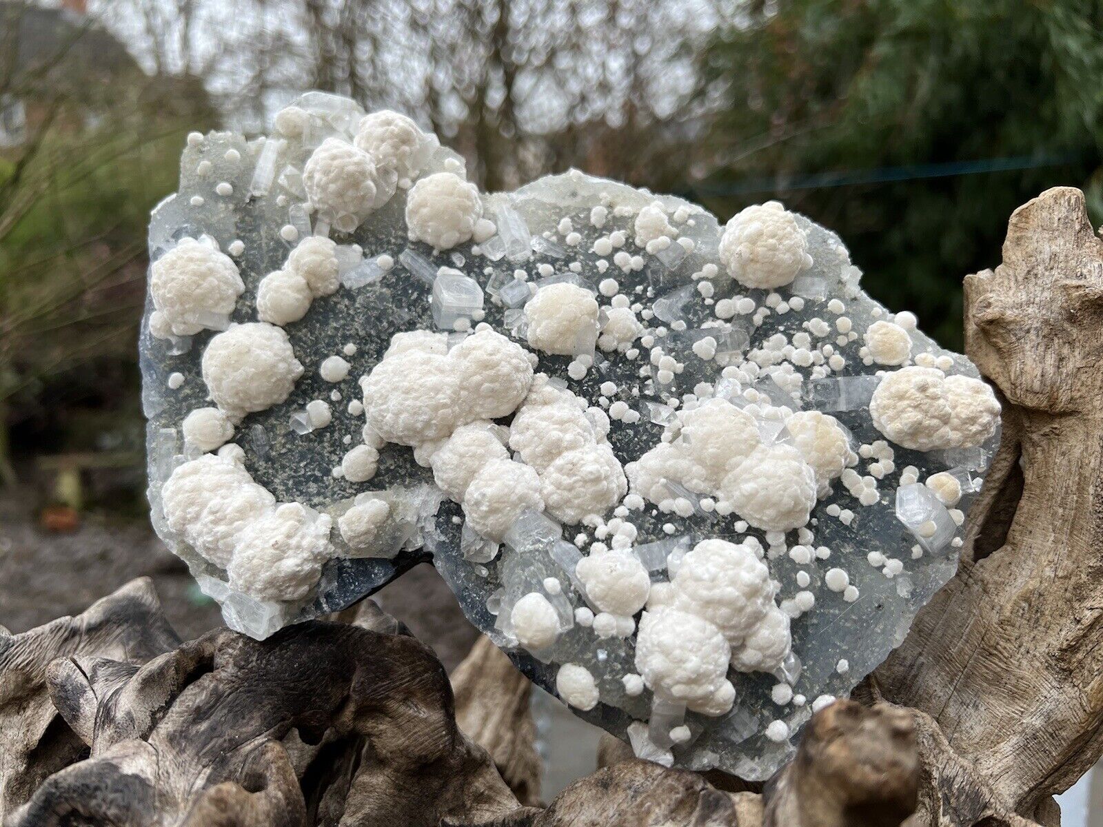 Okenite Balls Rare Large Cluster On Chalcedony AAA+ 33 1030g