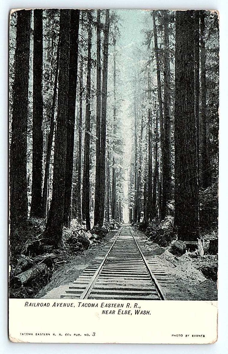 ELBE WA Washington ~ Railroad Avenue TACOMA & EASTERN RAILROAD 1907  Postcard