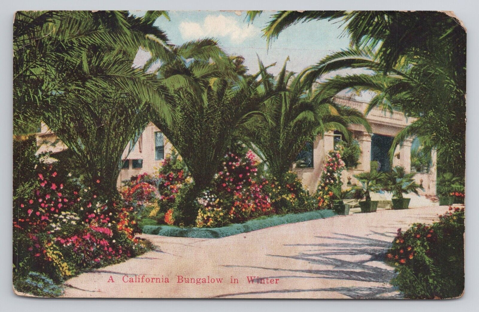 A California Bungalow In Winter c1910 Antique Postcard
