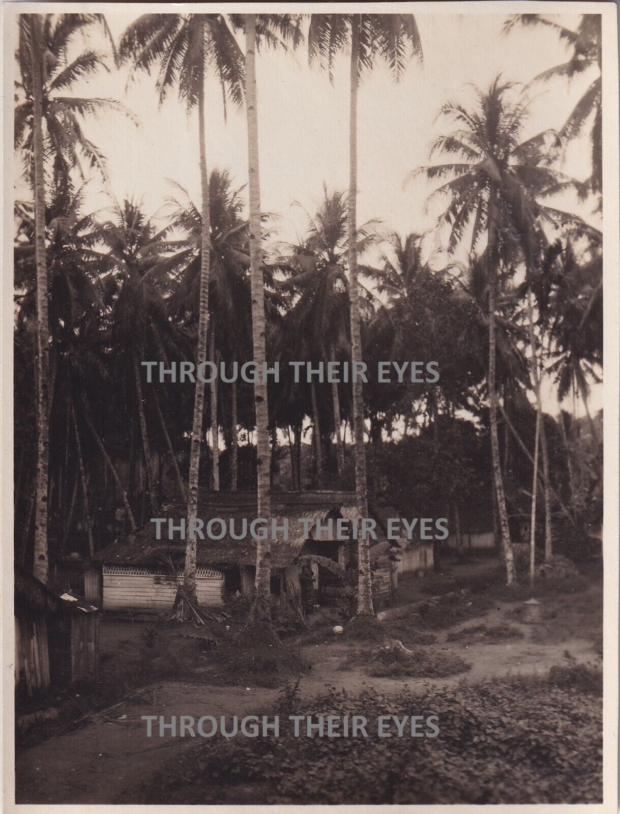 Original photo taken in  Singapore circa late 1920\'s shacks palm trees