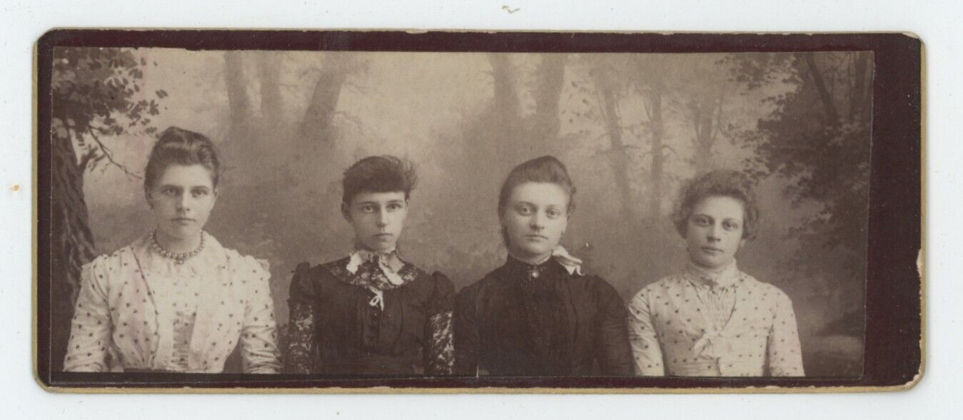 Antique Unique CDV Circa 1870s Four Beautiful Women Pennington Lewistown, IL