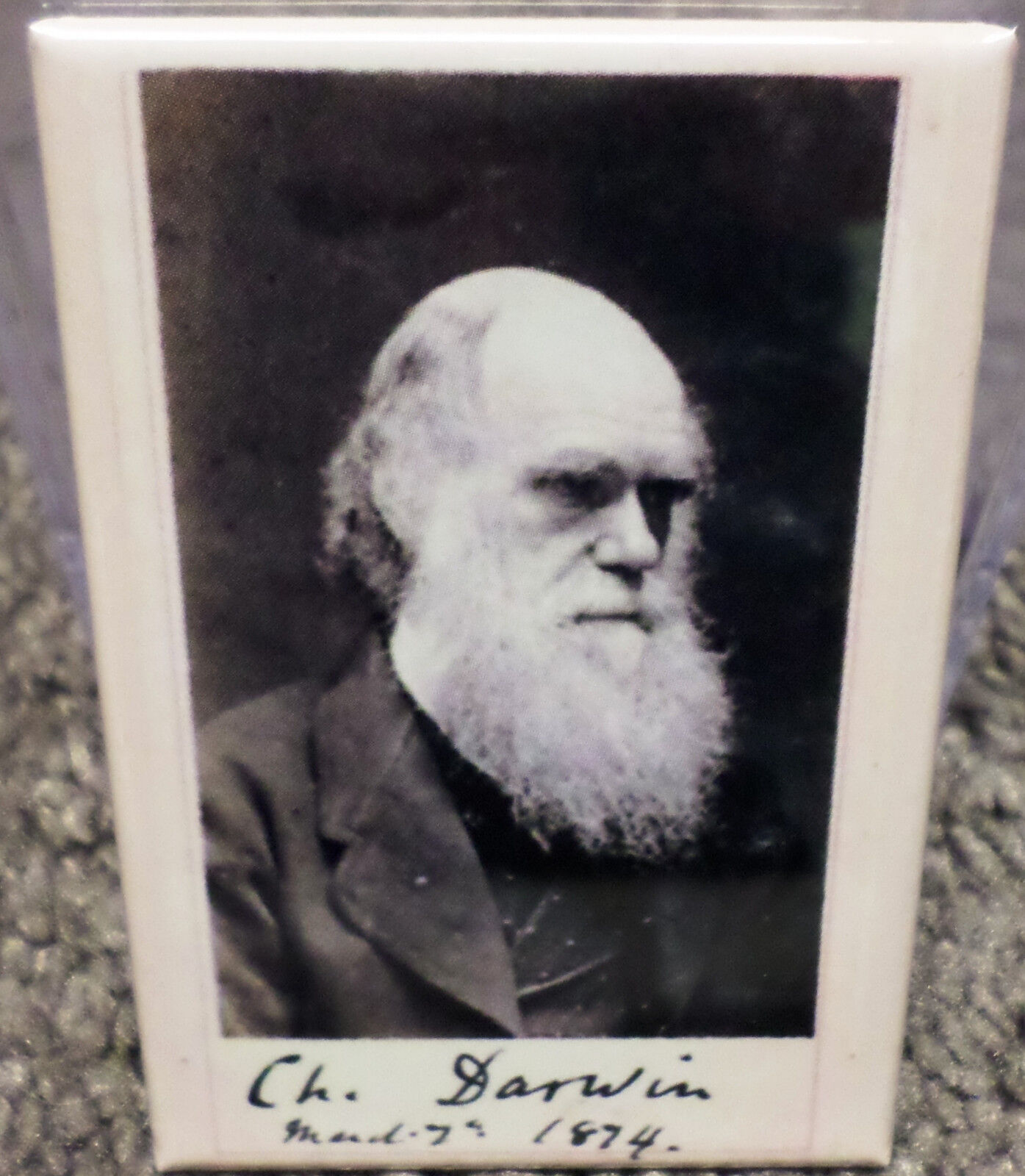 Charles Darwin 1874 Vintage Photo 2\