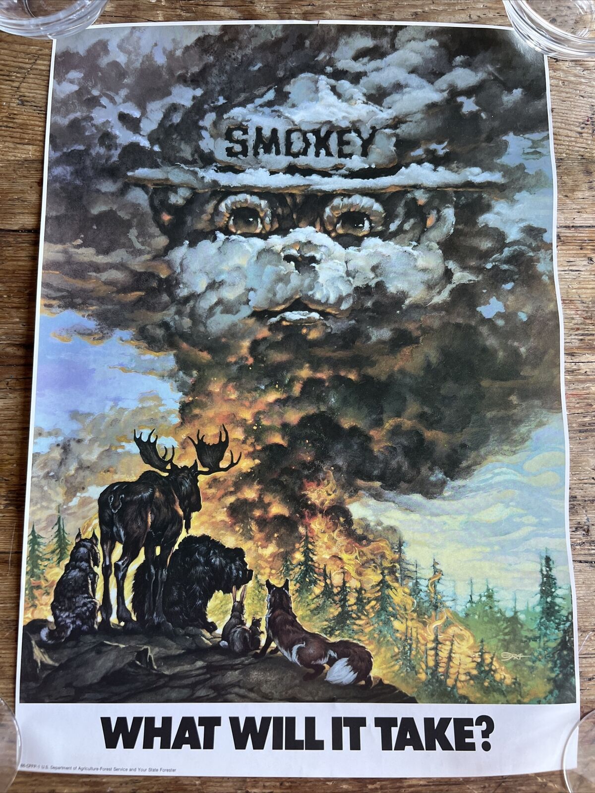 Vintage 1986 Smokey Bear poster USA forest color what will it take? Deadstock