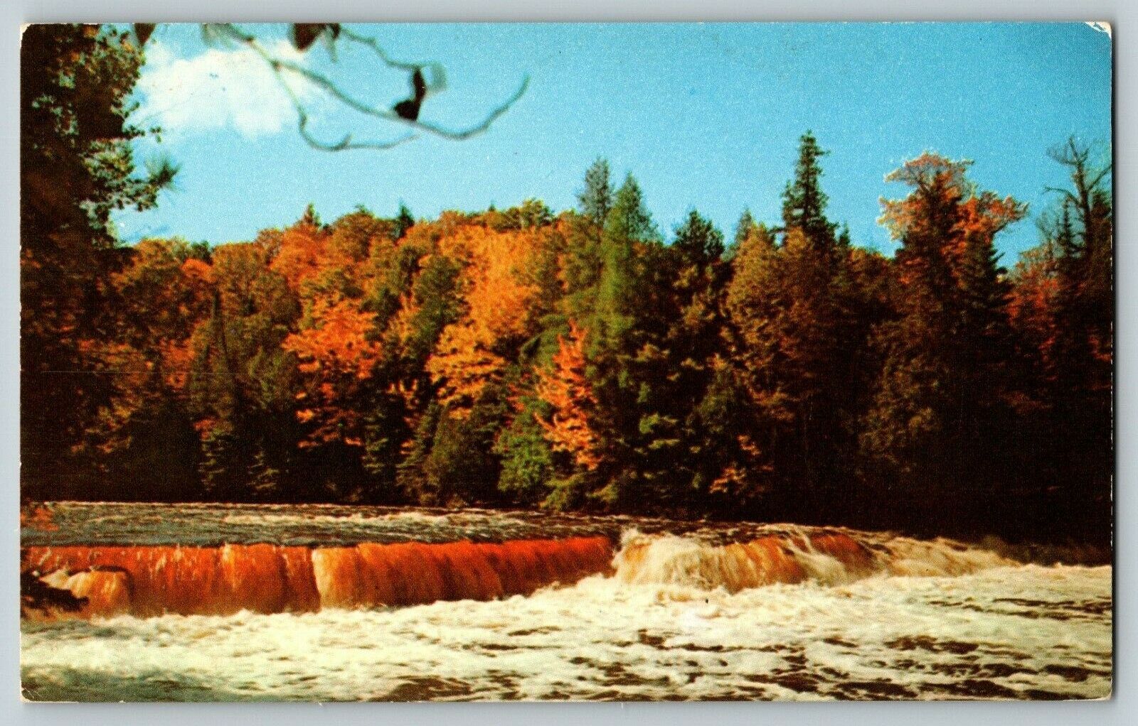Postcard MI Lower Tahquamenon Falls River Whitefish Bay Upper Peninsula, Mich.