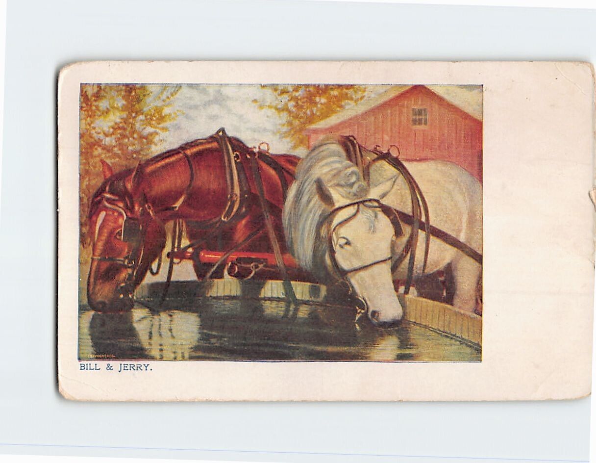 Postcard Bill & Jerry Horses
