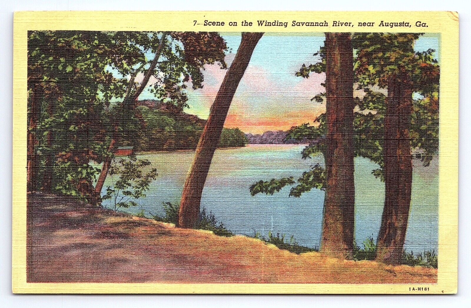 Postcard Scene on the Winding Savanna River Near Augusta Georgia GA