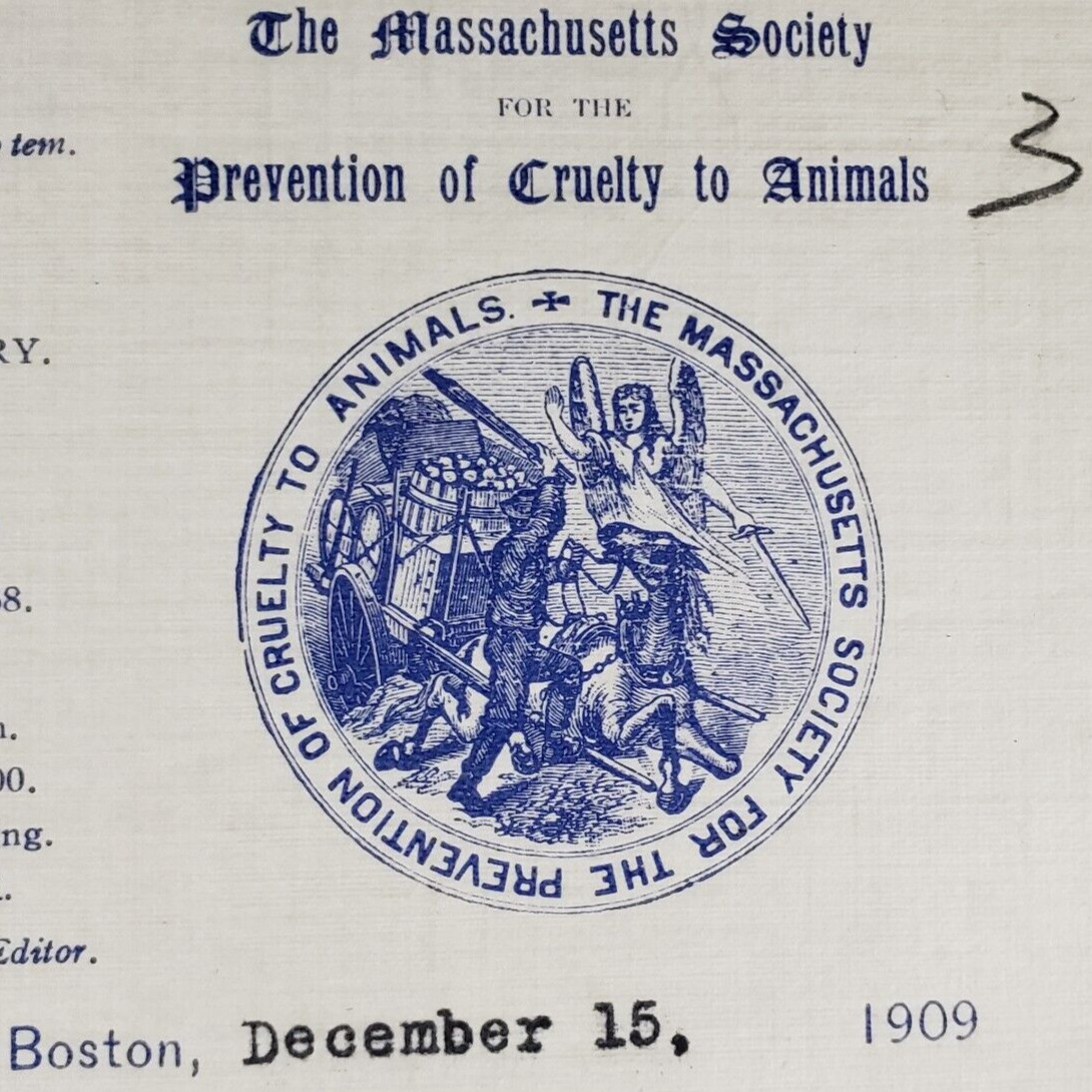 Animal Cruelty Letterhead 1909 Boston Vintage Antique Letter Humane Society B91