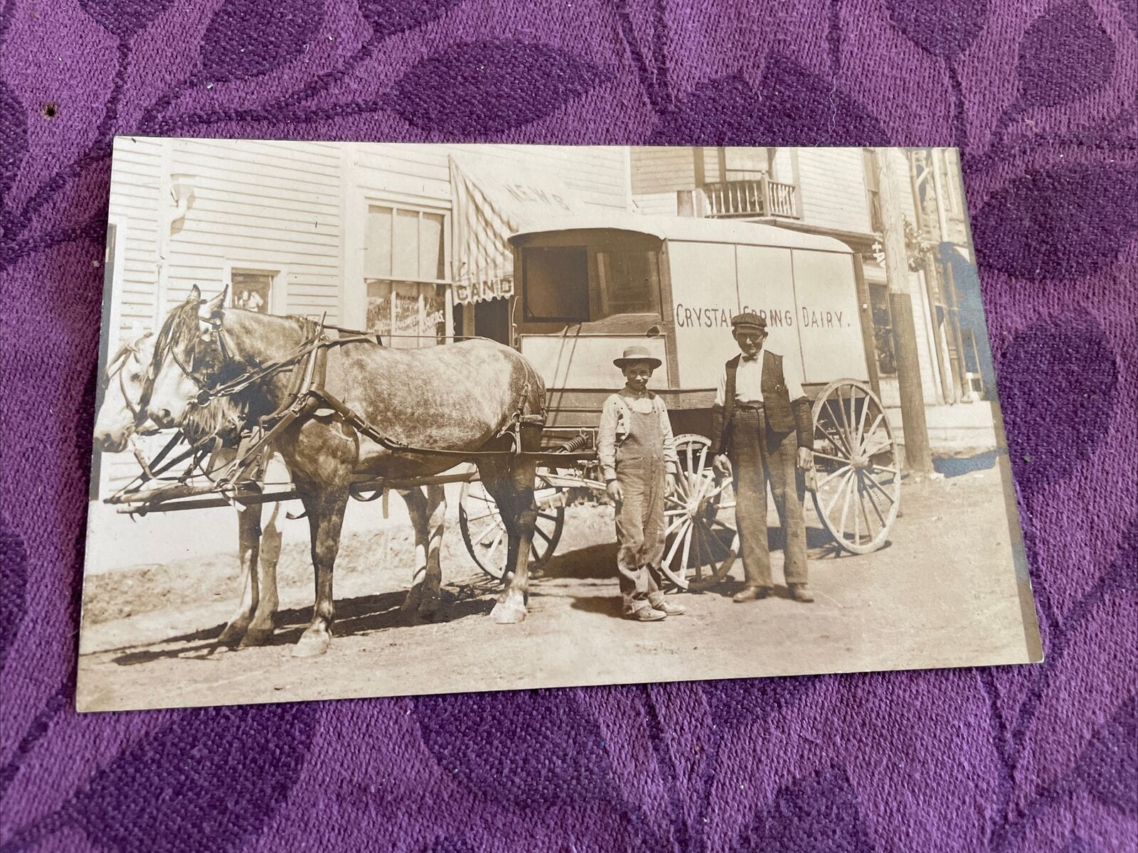 @1910 delivery men w/Crystal Spring Dairy  horse drawn wagon real photo postcard