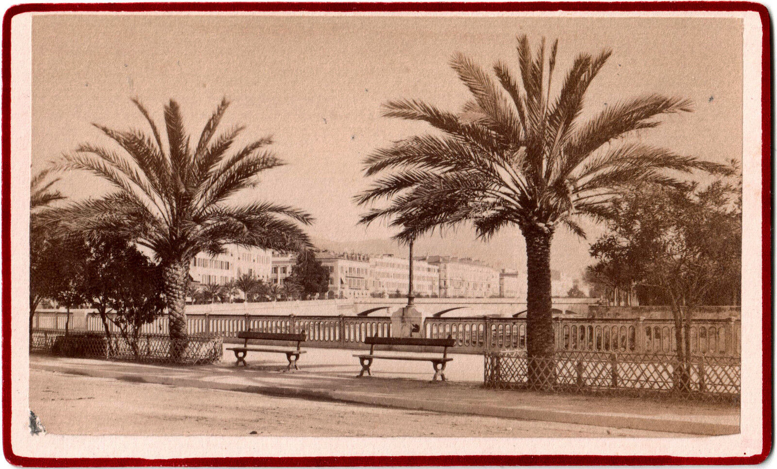 CDV Nice.Côte d\'Azur.Quai St Jean Baptiste seen in the palm trees.Albuminated photo