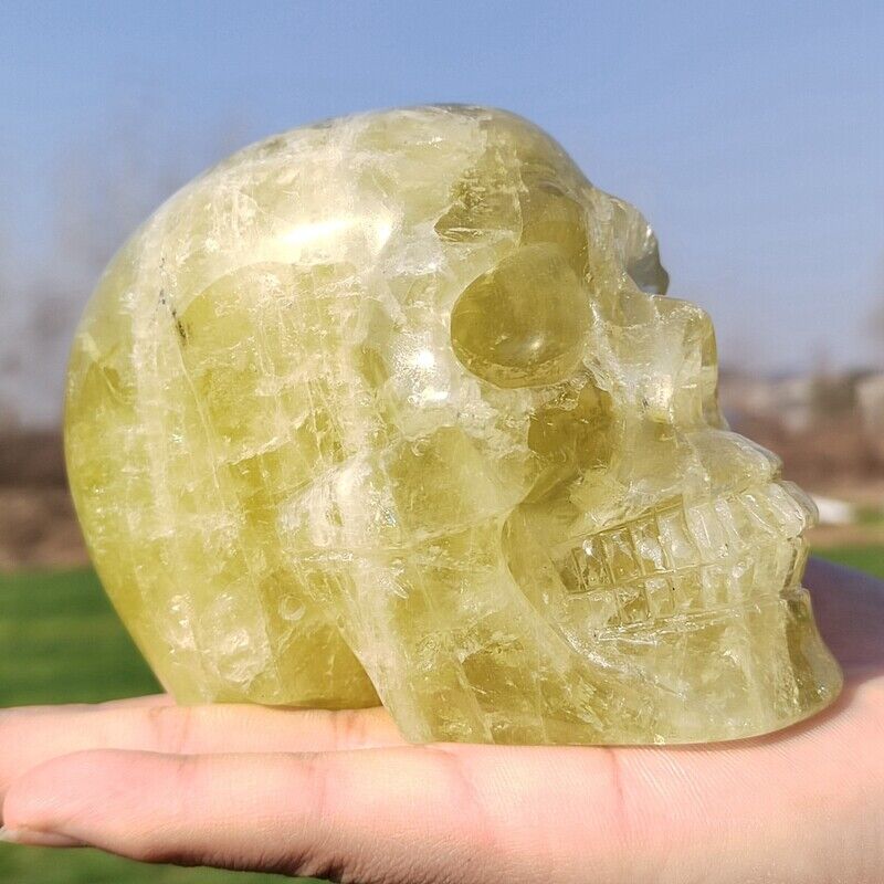 2.64LB Natural Citrine Skull Hand Carved Quartz Crystal Reiki Skull Healing Gift