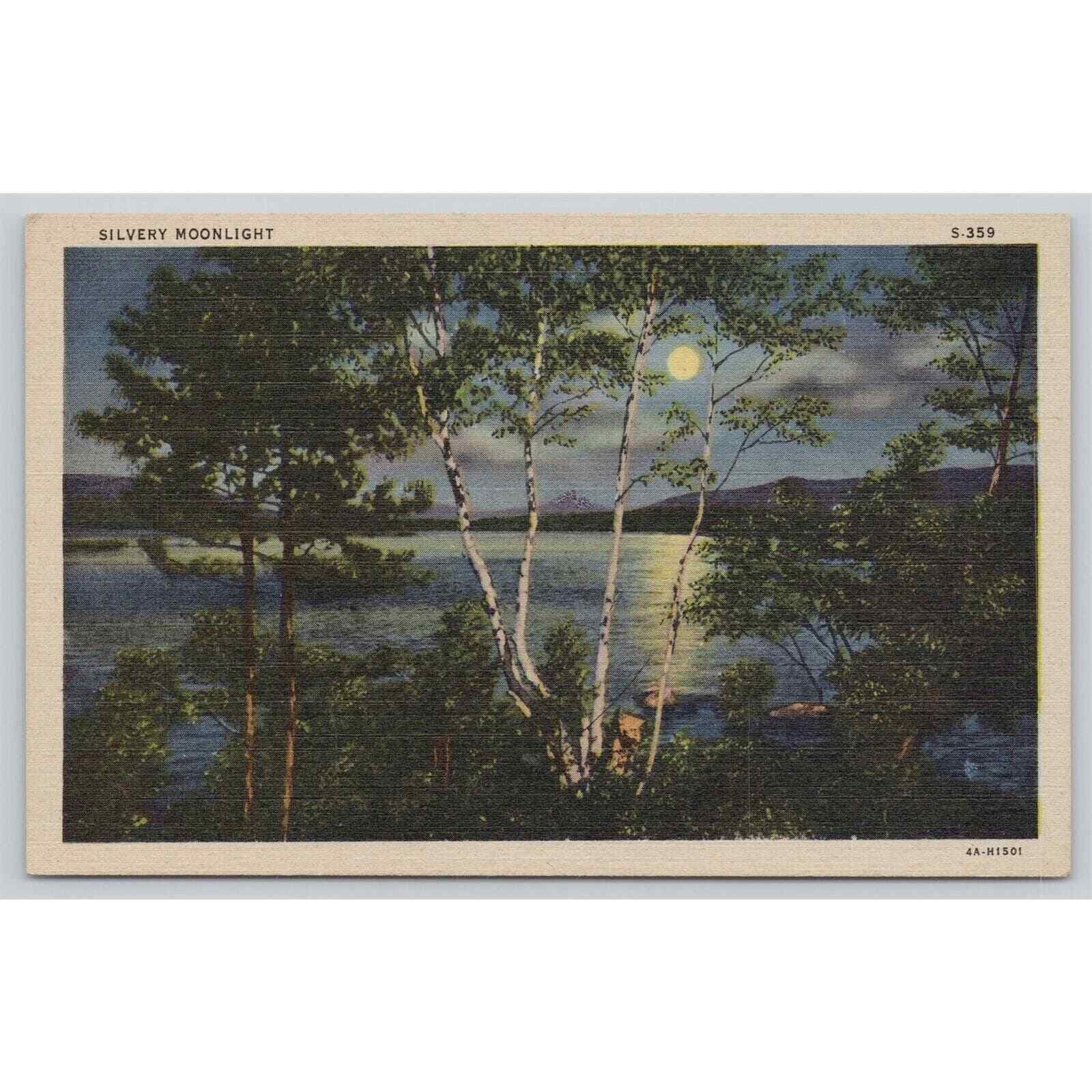 Postcard Silvery Moonlight Scene Lake View