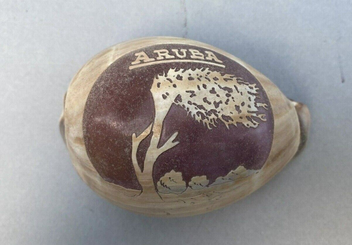 Aruba Carved Scenic Cameo Souvenir Seashell