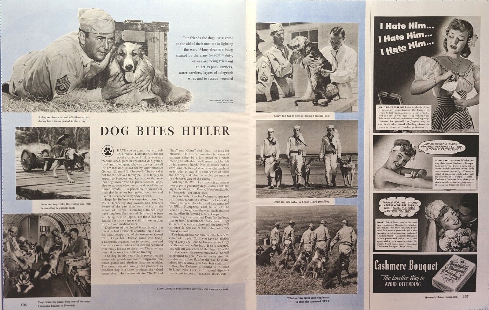 Military Working Dogs K9 Soldiers Quartermaster Seeks 125,000 Vintage Print 1942