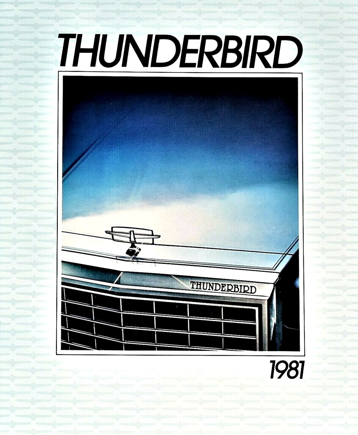 1981 FORD THUNDERBIRD PREMIUM SALES BROCHURE CATALOG ~ 16 PAGES ~ 9\
