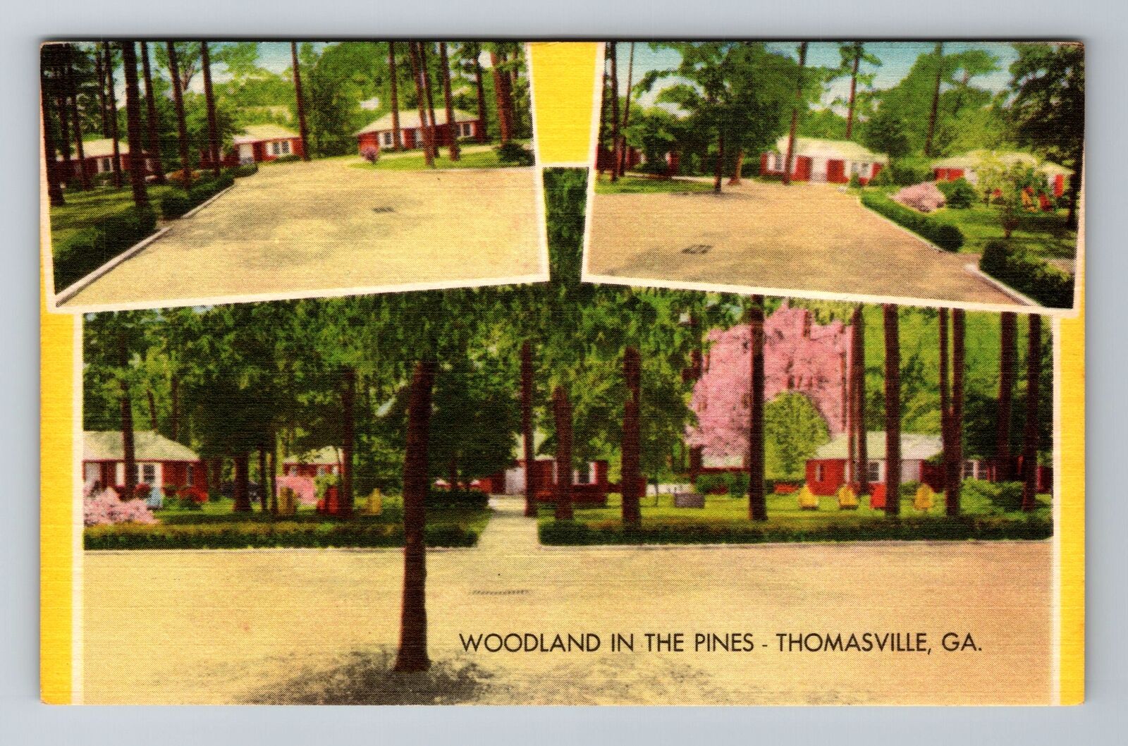 Thomasville GA-Georgia, Woodlawn in the Pines, Advertising, Vintage Postcard