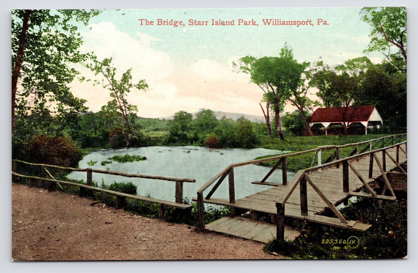 c1908~Starr Island Park~Bridge & Pond~Williamsport PA~Antique Postcard