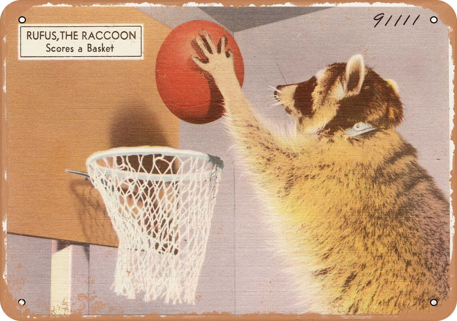 Metal Sign - Arkansas Postcard - Rufus the Raccoon, scores a basket