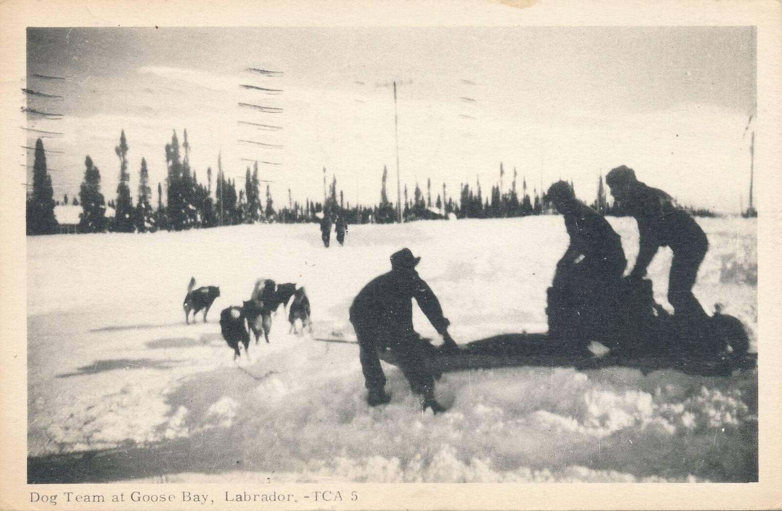 GOOSE BAY NL - Dog Team At Goose Bay Postcard - Labrador - Canada - 1952