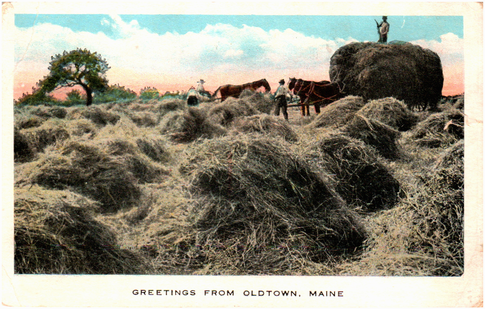 Postcard Vintage Greetings From Old Town, ME Farmers Harvesting Hay