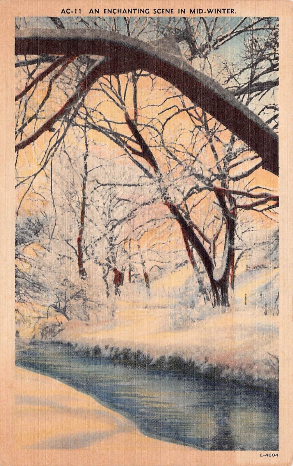 Mars Hill NC Winter Snow Big Branch Creek Edith Willis c1944 Vtg Postcard D1