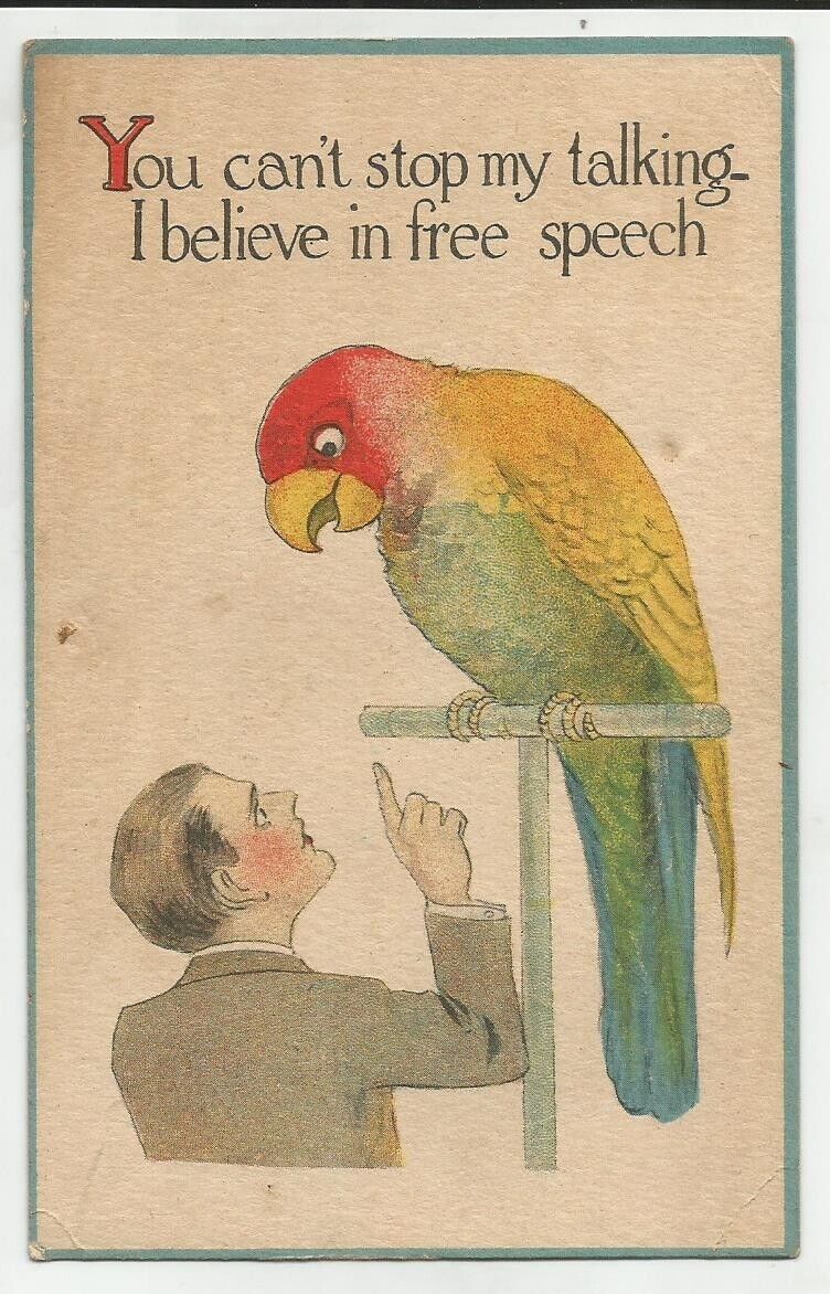 Vtg 1916 Patriotic Post Card Free Speech Anti-Censorship Parrot Scolding Man