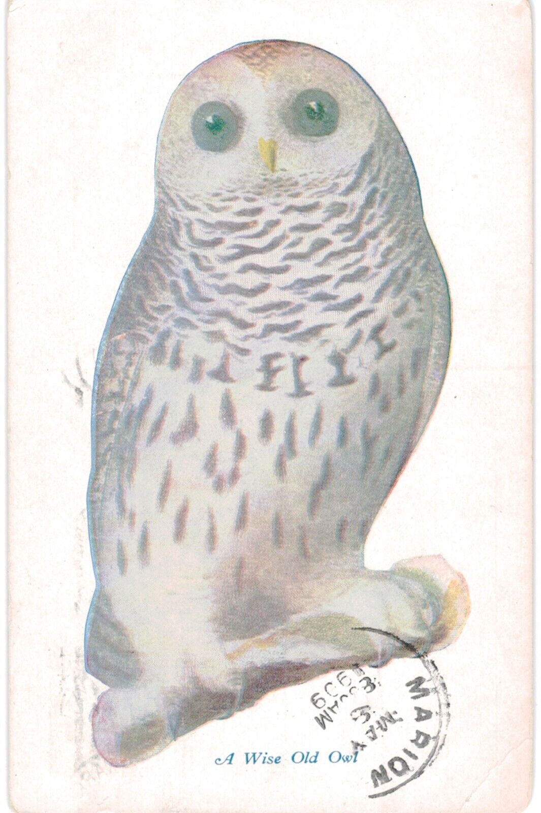 A Wise Old Owl Artist 1910 