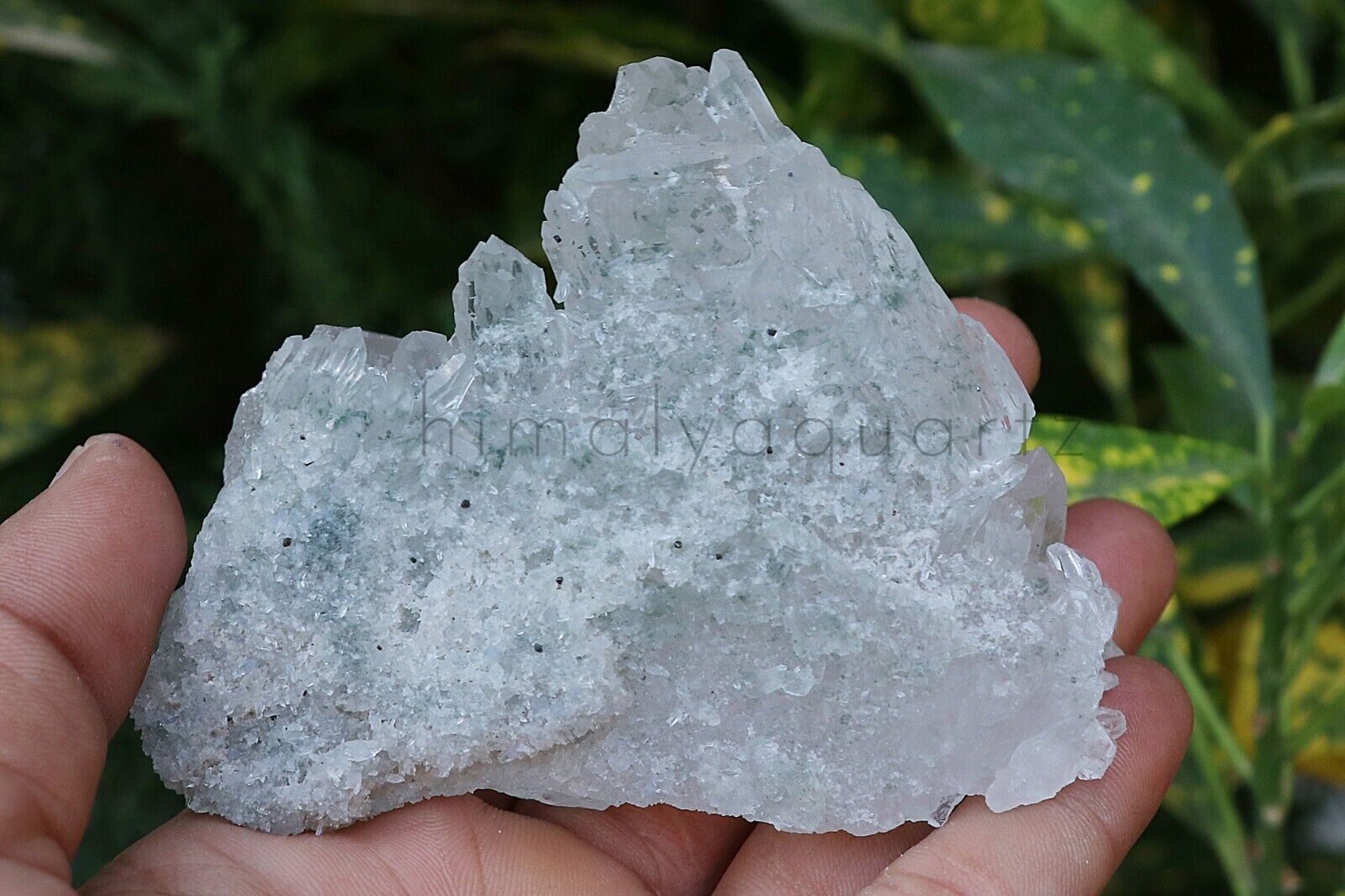 100%Natural Green Chlorite Quartz Rough Stone Minerals 280gm Crystals & Mineral
