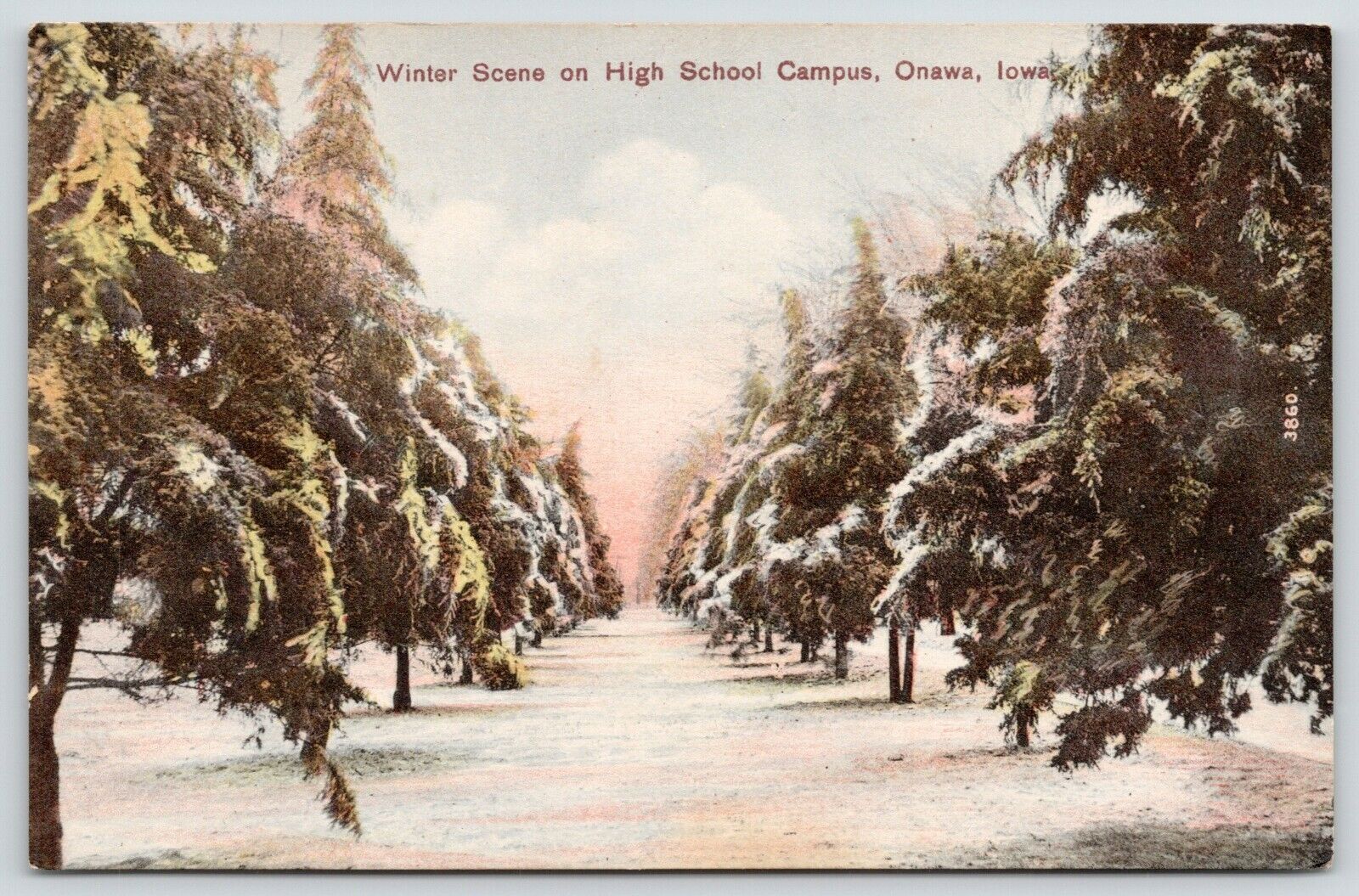 Onawa Iowa~High School Campus in Winter~Snowy Path Thru Evergreen Trees~1917