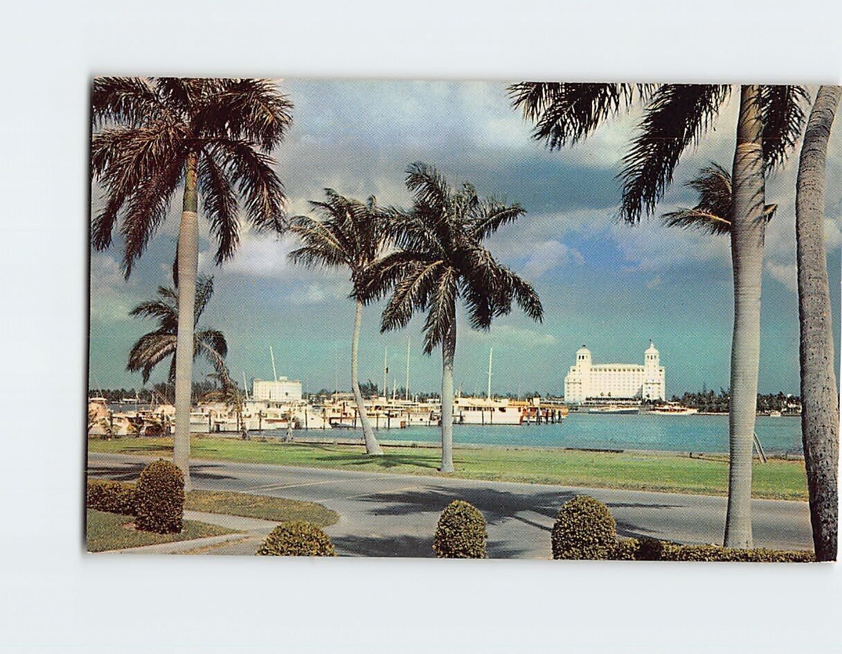 Postcard Famous Resort Life in the Palm Beaches Florida USA
