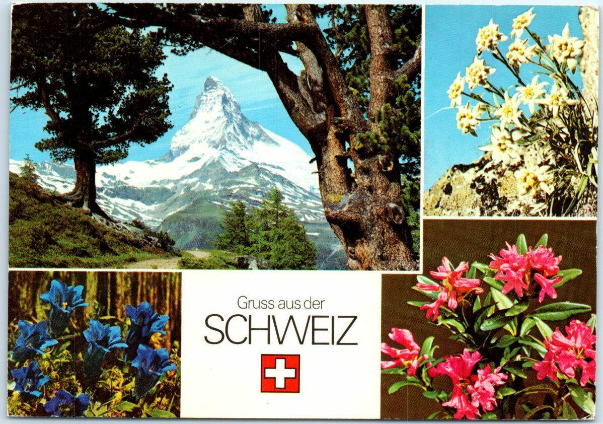 Postcard - Greetings From Switzerland