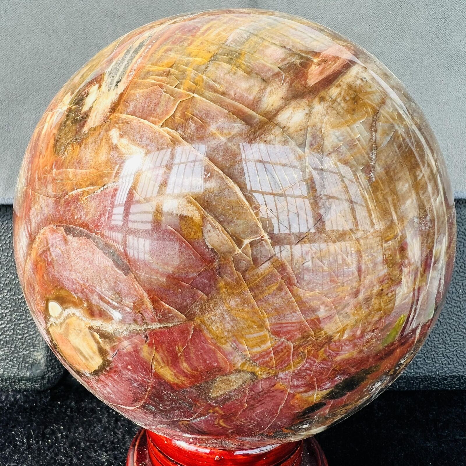 Natural Wood Fossil Decoration Polished Wood Grain Fossil Decor Crystal 5.21LB