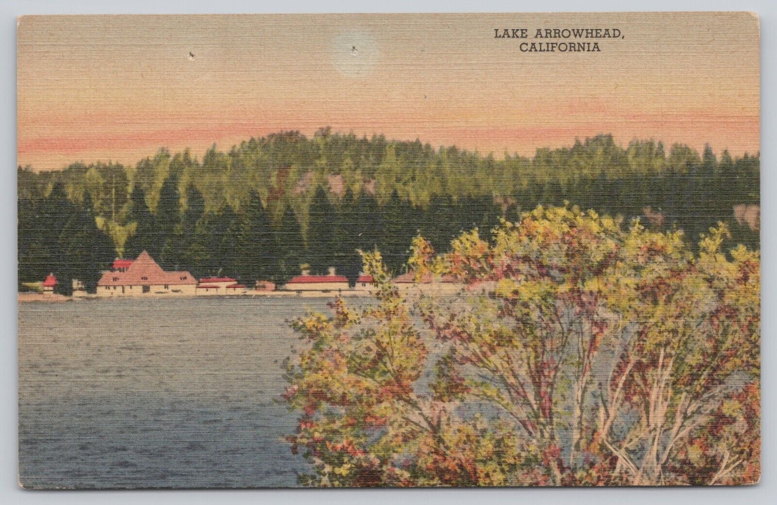 Postcard Lake Arrowhead Blue Jay CA c1955 Linen