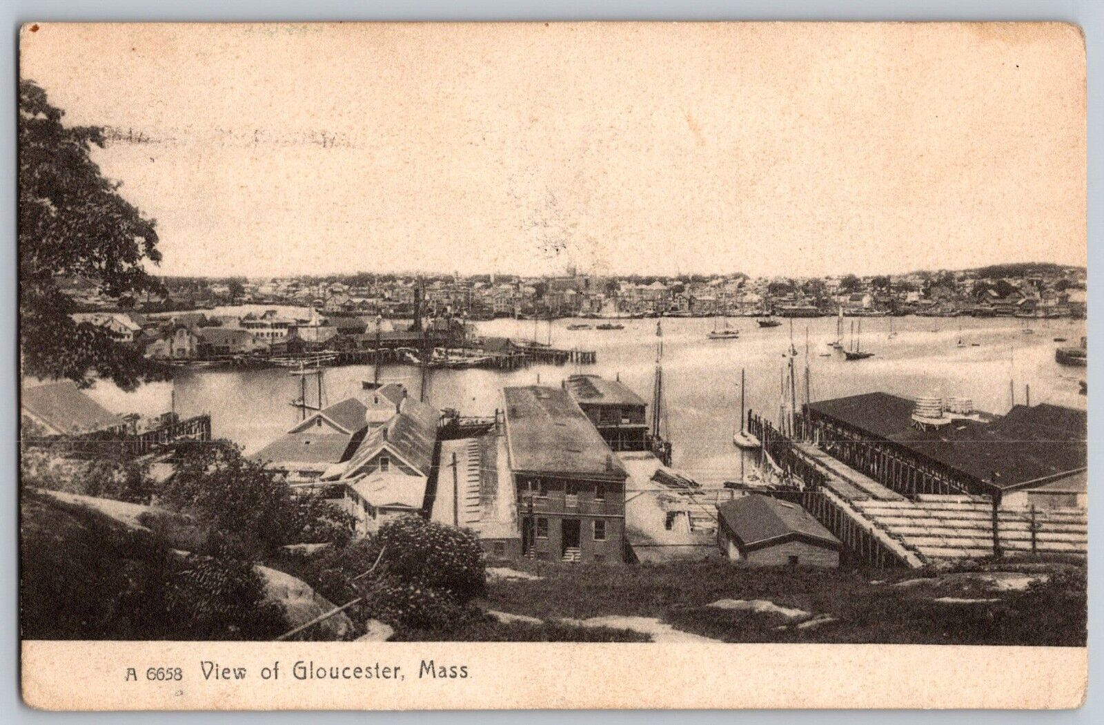 Postcard Posted 1907 View Of Gloucester Massachusetts C9