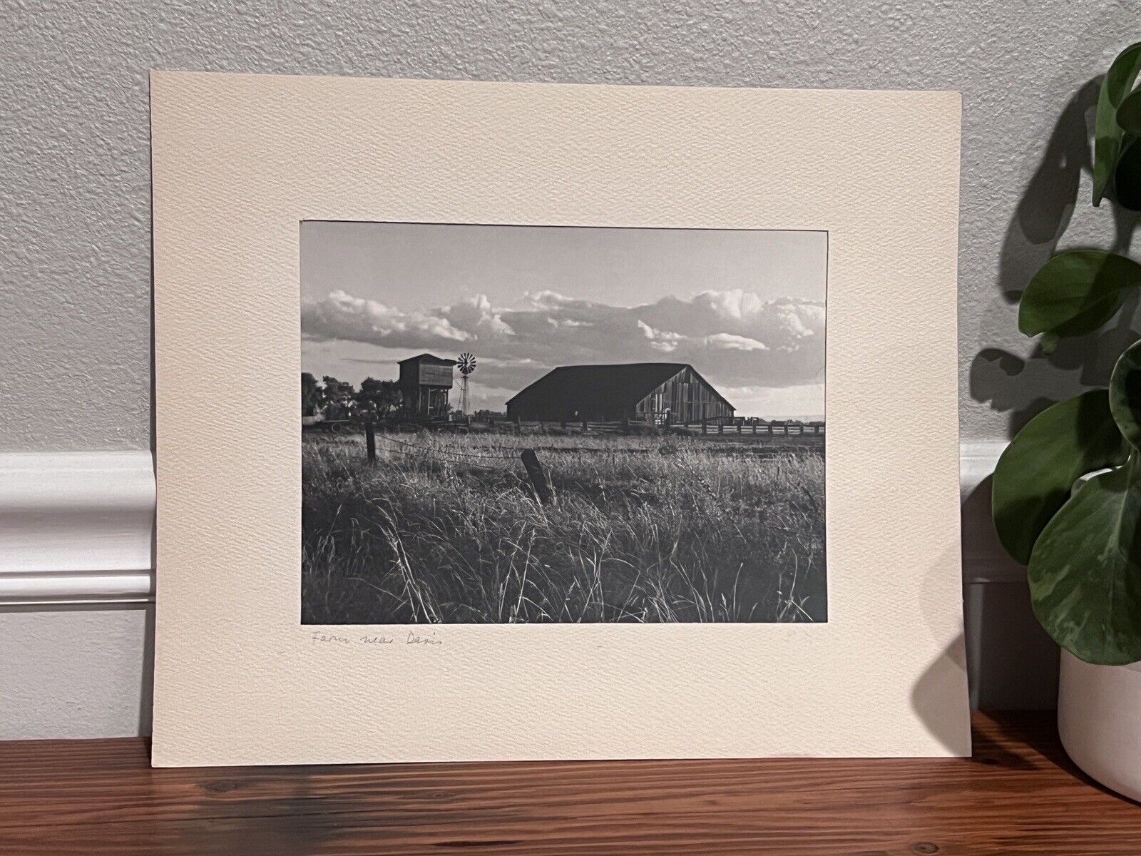 c1940s Farm Near Davis California CA Matted Photo 11x13” Vintage Vtg