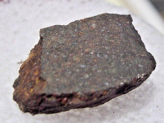 1.29 grams Krest-Kytyl Meteorite ( H5 ) fragment found in Russia 2020 with a COA