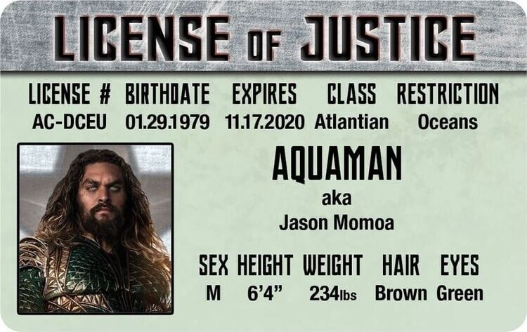 League of Justice Aquaman (Jason Momoa) Laminated License Trading Card 