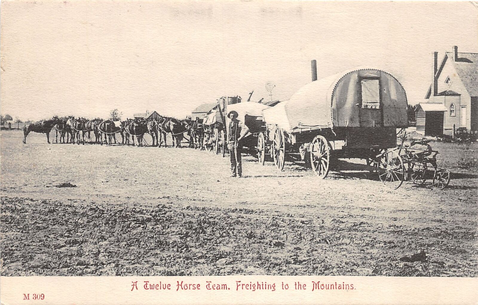 J36/ Harlowton Montana Postcard c1910 12-Horse Freight Wagon Men 91