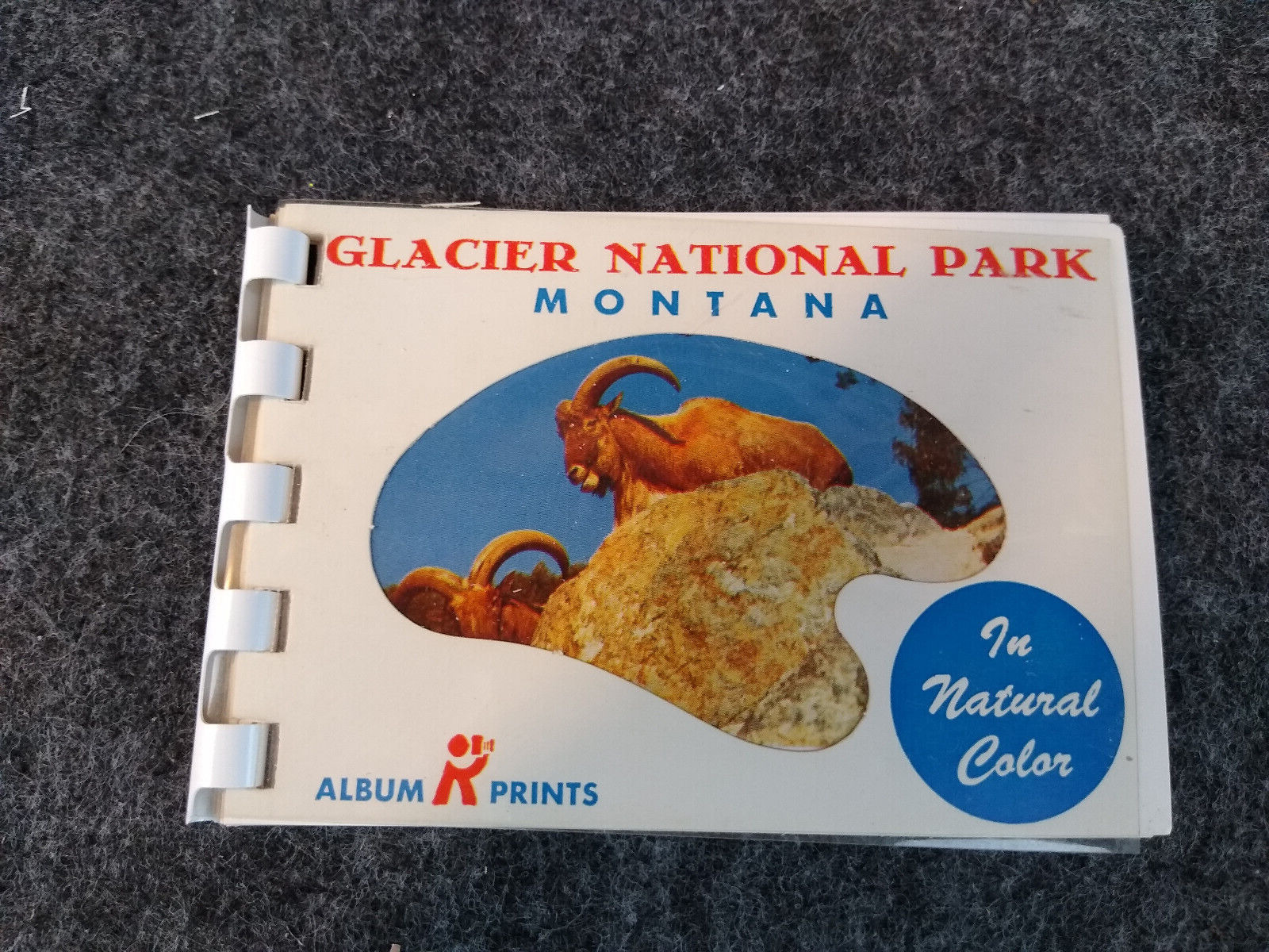 Vintage 1960s Mini Souvenir Photo Postcard Album Glacier National Park Montana 