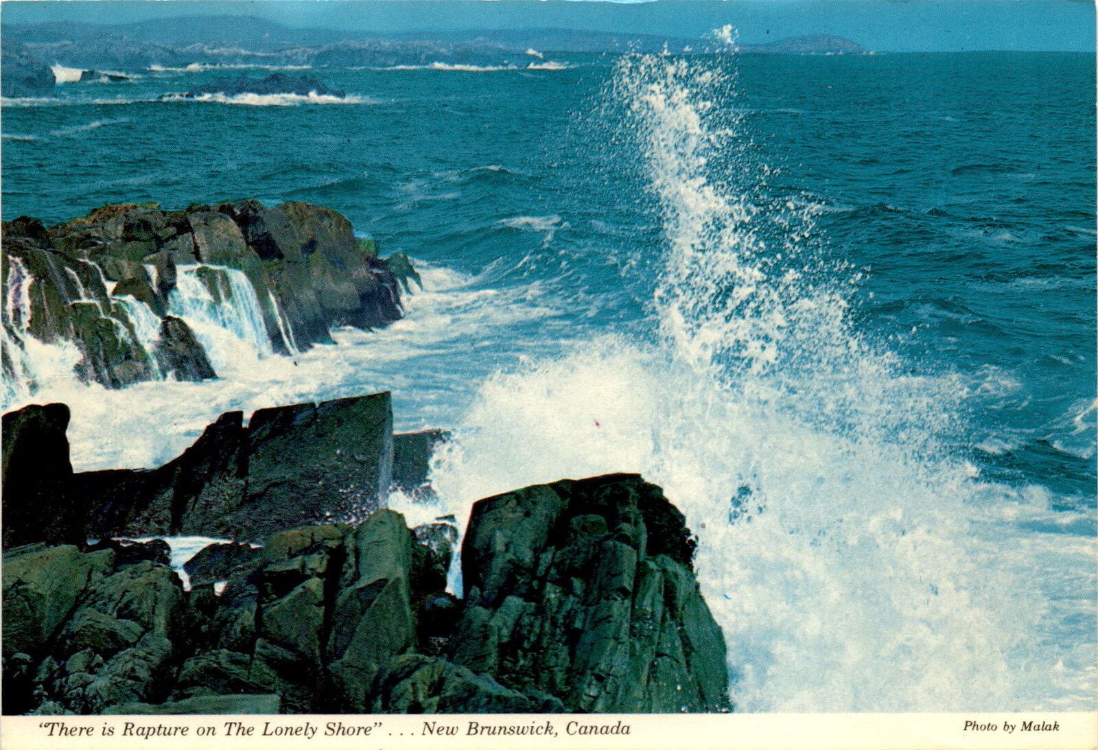 Beautiful New Brunswick Shore Postcard - Canadian Made