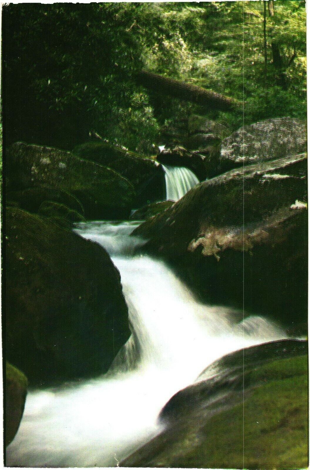 Roaring Fork Creek, Great Smoky Mountains National Park, Tennessee Postcard