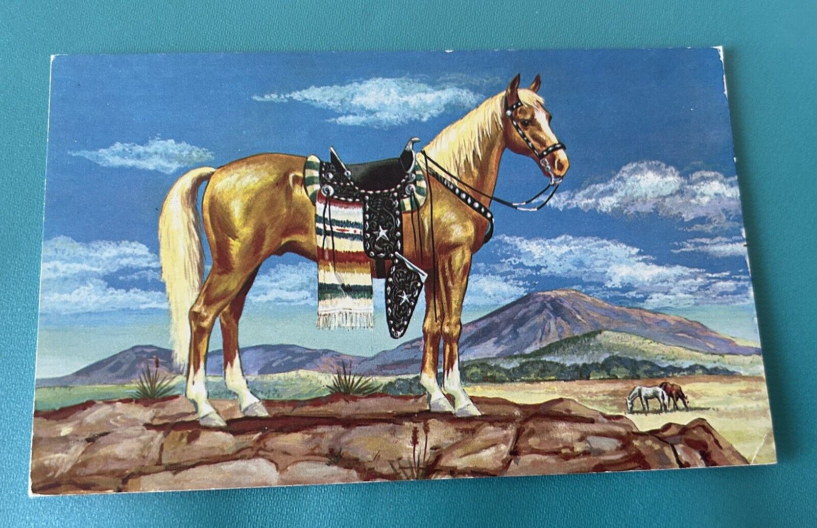Horse Series Palomino Stallion Post Card