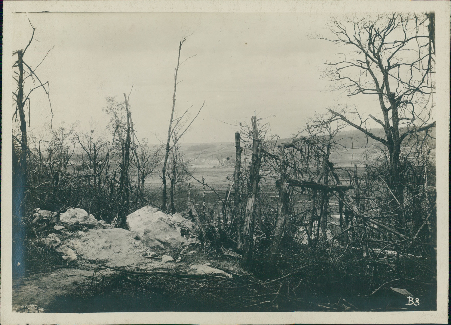 France, War 14/18, Aisne, The ruins of the forest of Belleau at the entrance of