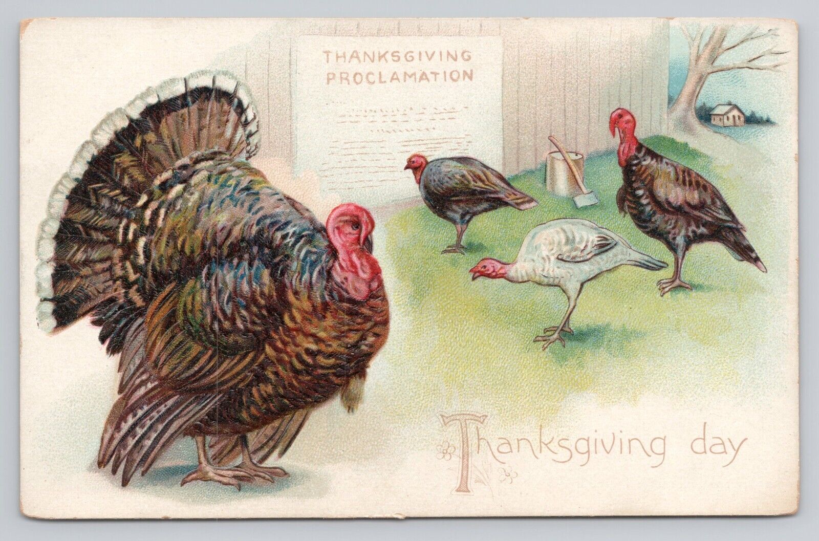 Postcard Thanksgiving Day Proclamation Tucks #123 Embossed Unposted
